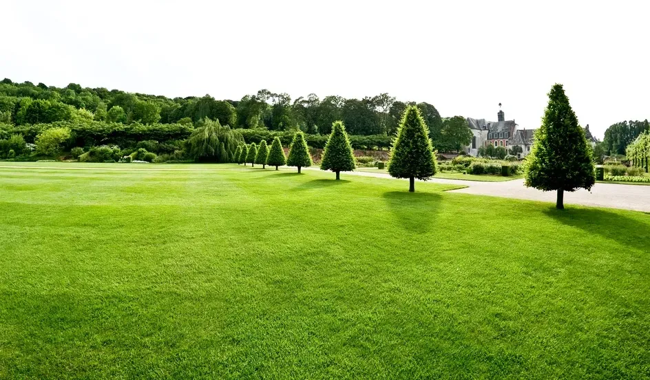 Entretien de parcs près de Comblanchien