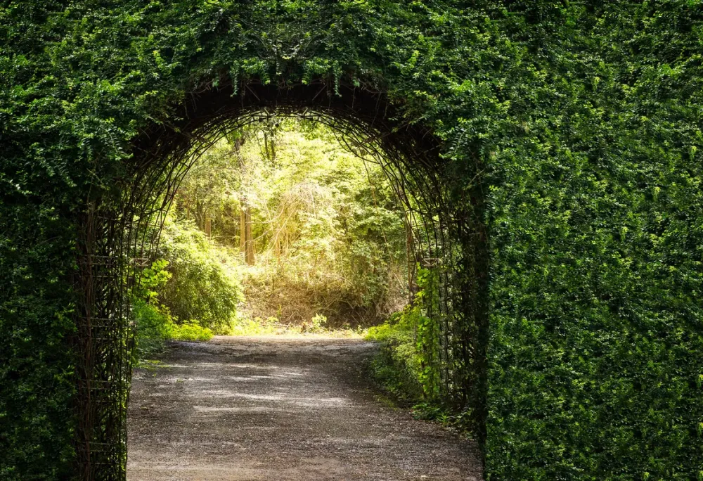 Entretien d’espaces verts près de Comblanchien